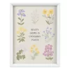 Sonoma Goods For Life® Framed Botanical Art -Sonoma Furniture Store 5979607