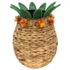 Sonoma Goods For Life® Pineapple Planter Floor Decor