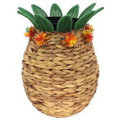 Sonoma Goods For LifeĀ® Pineapple Planter Floor Decor