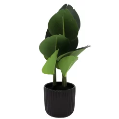 Sonoma Goods For Life® Banana Leaf Plant In Ceramic Pot -Sonoma Furniture Store 6004226 ALT